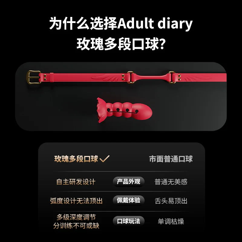 BDSM Ball Gag with Dildo – Silicone Mouth Gag with Penis Attachment, Adjustable Strap Open Mouth O-ring, Sex Restraint Toys for