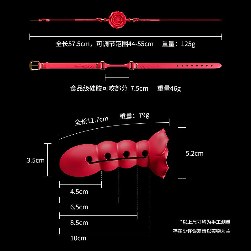 BDSM Ball Gag with Dildo – Silicone Mouth Gag with Penis Attachment, Adjustable Strap Open Mouth O-ring, Sex Restraint Toys for